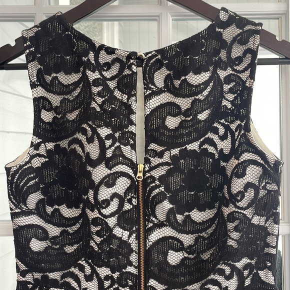 Limited black lace over white sheath dress sz 4 - Picture 4 of 5